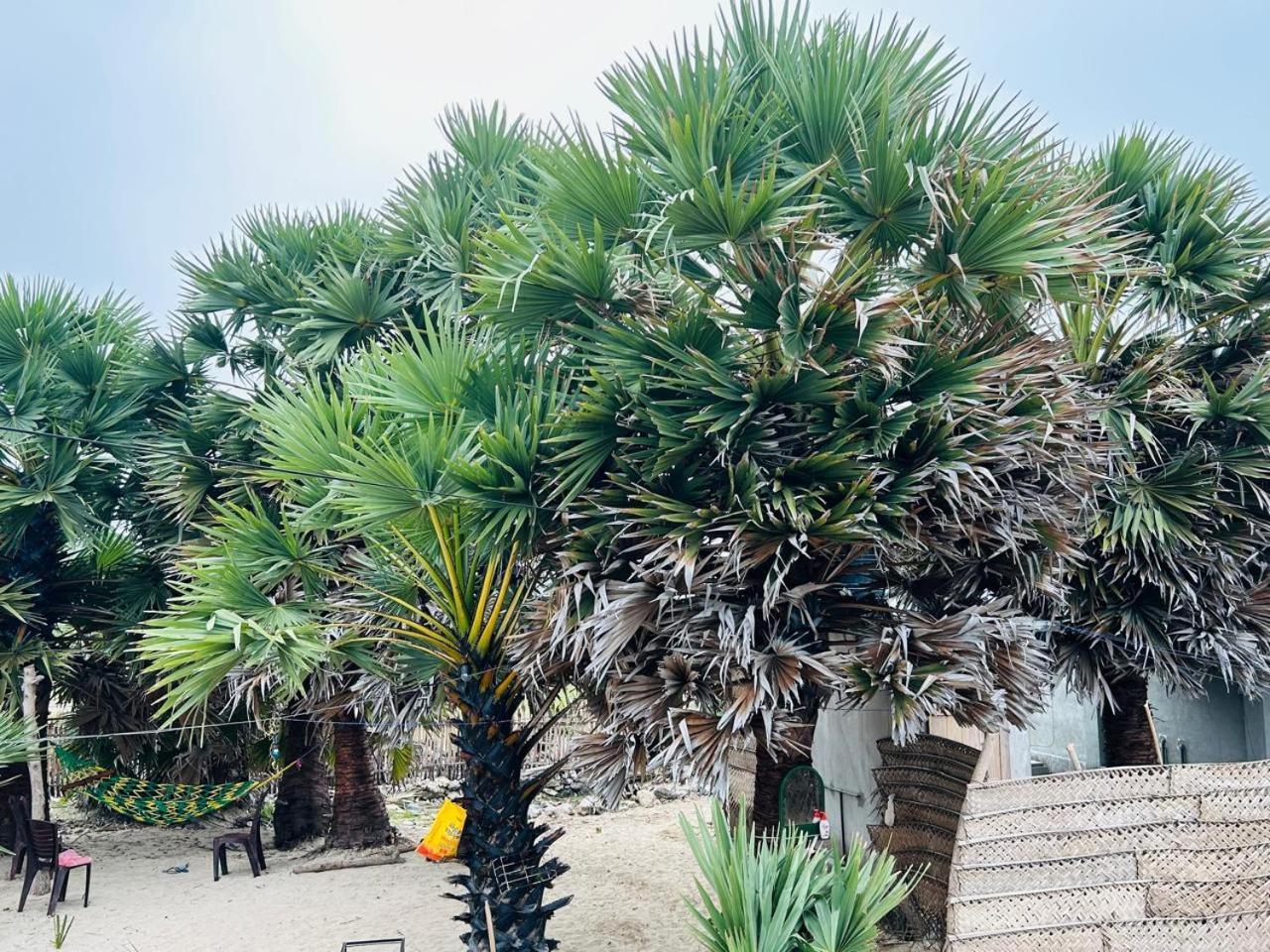 Delft Jeyam Resorts Delft East Dış mekan fotoğraf