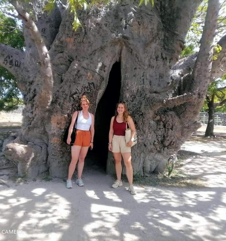 Delft Jeyam Resorts Delft East Dış mekan fotoğraf