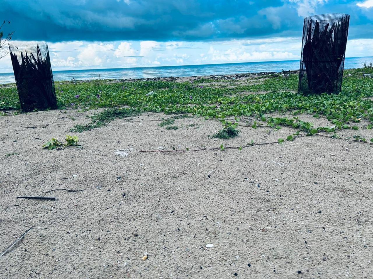Delft Jeyam Resorts Delft East Dış mekan fotoğraf